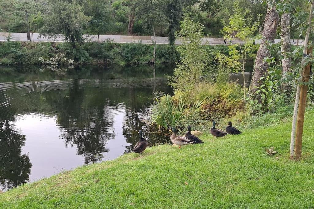 Nature E Spa Al - Termas Saude E Beleza, Totalmente Renovado - Piscinas Municipais Em Frente - Epoca Julho A Setembro São Pedro do Sul Dış mekan fotoğraf